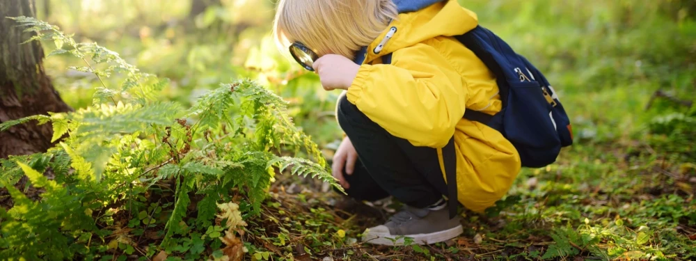 enfant avec une loupe forêt