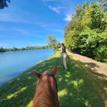 famille chateau chantilly printemps jardins