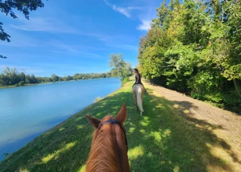 À cheval - app.name