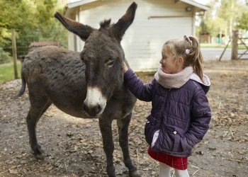 Avec les animaux - app.name