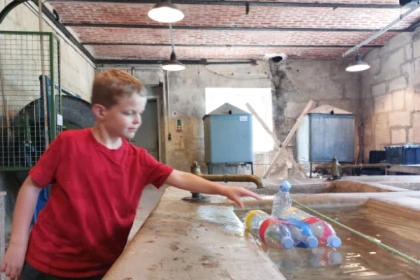 Atelier "Course de bateau" - app.name