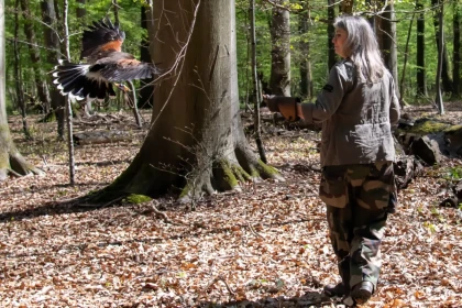 Atelier Découverte de la Fauconnerie - app.name