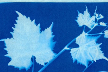 Atelier  en Famille "Autour du Cyanotype" - app.name