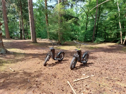 balade des marais - app.name