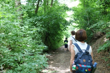 Balade gourmande à Ons-en-Bray - app.name