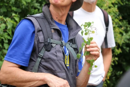 Balade gourmande au départ de Blacourt - app.name