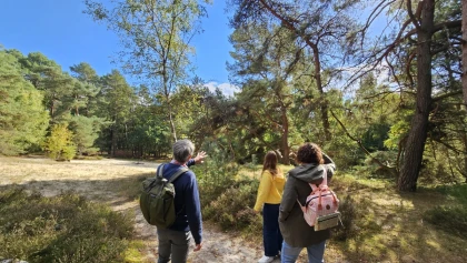 Balade immersive sur mesure dans le Massif des Trois Forêts, pour 1 ou 2 personnes. - app.name