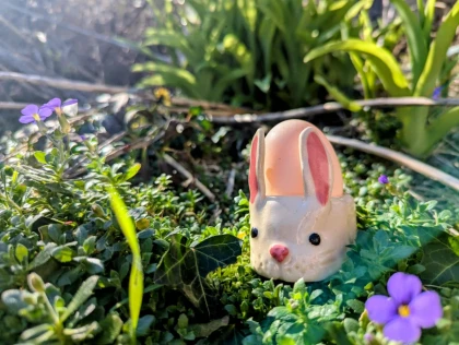 Coquetier lapin - app.name