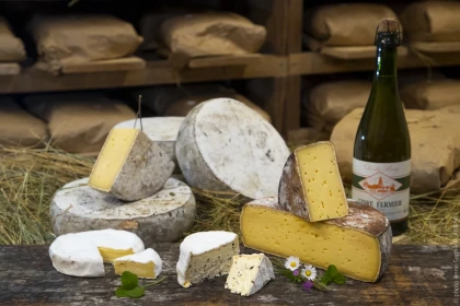 Découverte et dégustation à la fromagerie Beaudoin - app.name