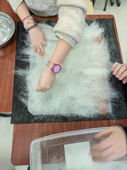 expérimentation créative: transformation de la laine - app.name