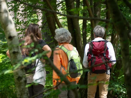 Micro-aventure, demi-journée de découverte de la forêt - app.name