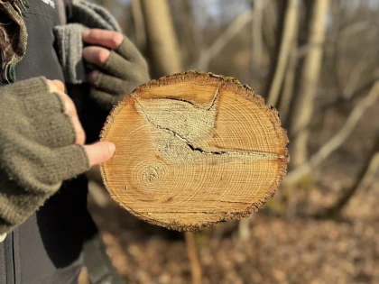 Micro-aventure, demi-journée de découverte de la forêt - app.name