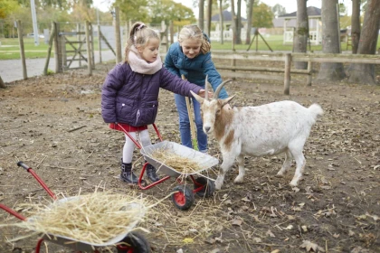 MINI FERMIER - app.name