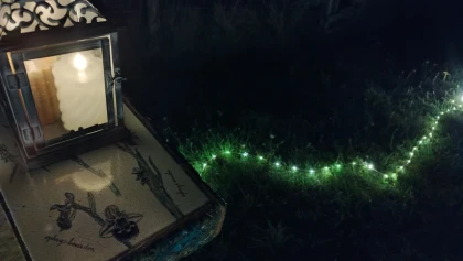 Nuit contée sous les étoiles à la colline Sainte-Hélène - app.name