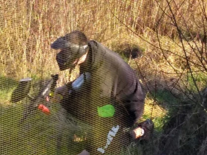 Paintball adulte - app.name