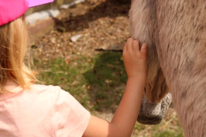Visite de l'Asinerie du Vauroux et du musée hippomobile - app.name