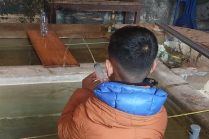 Visite Découverte + animation "le tir à l'eau ! " - app.name